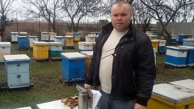Пчеловодство. Заготовка топлива для дымаря смотреть онлайн