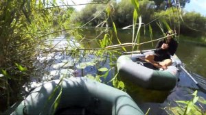 Сплав на лодках по реке Неруссе, поймал щук на уху, ночь в лесу, заповедник Брянский лес