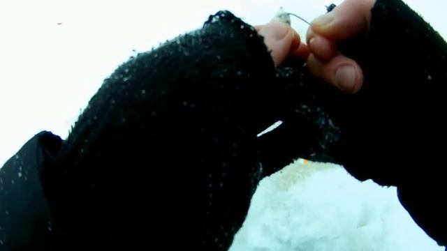 ЛОВЛЯ СУДАКА И БЕРША НА ТЮЛЬКУ Рыбалка на реке ВОЛГЕ смотреть онлайн