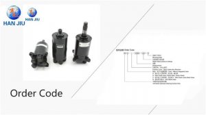 Mini hydraulic steering gear