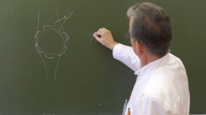 Пластика по Лексеру при пупочных грыжах