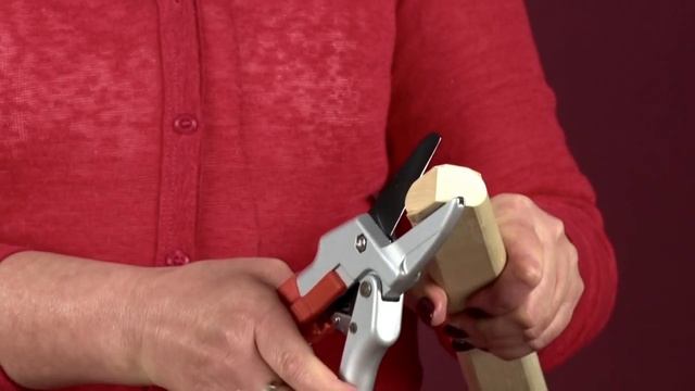Cекатор с храповым механизмом