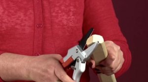 Cекатор с храповым механизмом