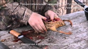 Потрошение утки Купить нож Профессиональный таежный 1 обзор как выбрать своими руками охотничий нож