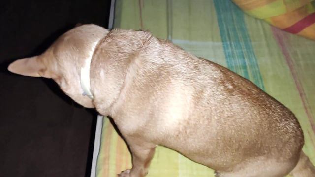 Славянск. 17 декабря 2022 года. около 9:00 утра смотреть онлайн