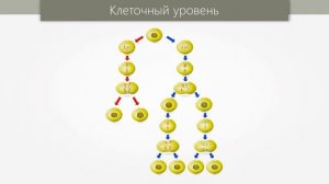 3.Уровни организации живой материи. ЕГЭ Биология / 10класс
