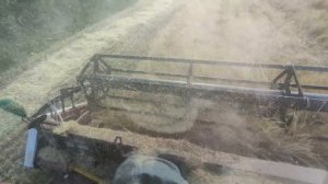 Уборка ячменя 2022 , VECTOR 410 и ACROS 535