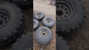 Резина Forward Safari 500. Как она выглядит через 5.5 лет. Отлично 😁