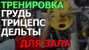 Тренировка для мужчин в тренажерном зале
