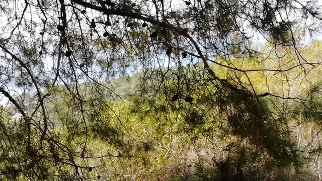 Как устроить фитнес-тур в пляжном отеле смотреть онлайн