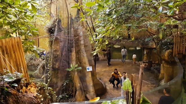 Istanbul Aquarium Florya | Amazon Rainforest Aqua Florya Shopping and Life Center | Part 08 | فلوري смотреть онлайн