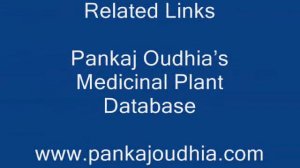 Ingredient/s of Selaginella repanda Formulations: Pankaj Oudhia's Ethnobotanical Surveys 1990-2012