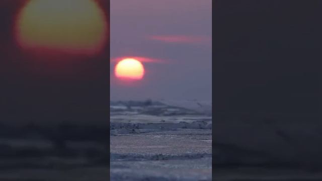 😳 Самое холодное место в России #крайнийсевер #рекомендации смотреть онлайн