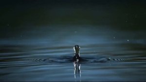 Капля падает в воду. Футаж