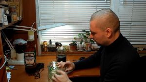 КАК ИЗБАВИТЬСЯ ОТ ОС НА ПАСЕКЕ