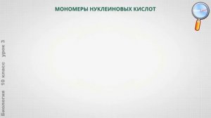 Биология 10 класс (Урок№3 - Органические вещества. Белки и нуклеиновые кислоты, и их значение. АТФ.