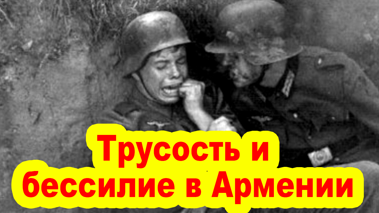Трусость и бессилие в Ереване: как бороться с Армянским беспределом?