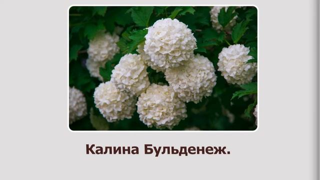 Фоторассказ 
