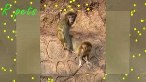 Познавательно-развлекательная программа "Как хорошо, что есть театр!". Выпуск №4