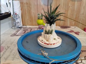 15..Бонсай из суккулентов на пне.mp4