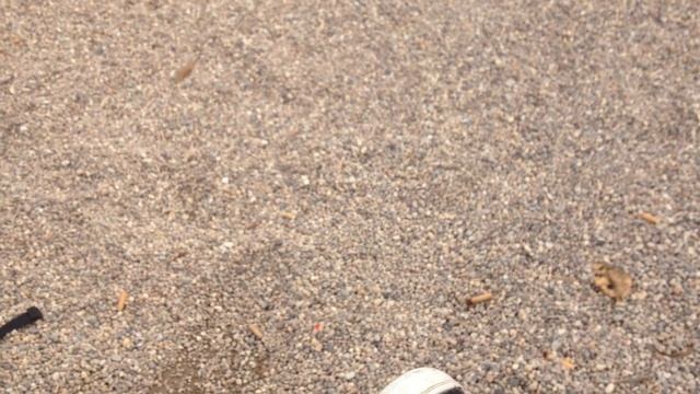 Monster Rehab Orangeade Review смотреть онлайн