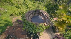 ОСТРОВ БАЛИ. НАШ ОТДЫХ НА БАЛИ (УБУД, ЛЕС ОБЕЗЬЯН, СЁРФИНГ, ВОДОПАДЫ)