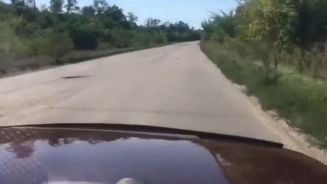 Дорога Сватово-Старобельск