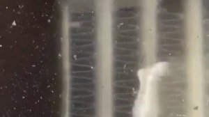 Опрессовка интеркулера грузового автомобиля