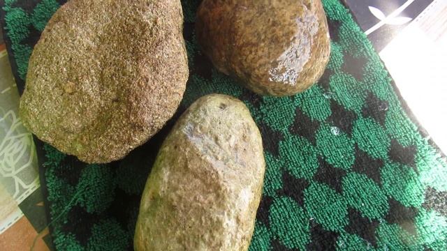 DIY: Раскрашиваем Яркие камушки - Божьи коровки! Bright stones Ladybugs