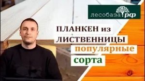 Планкен из лиственницы. Популярные сорт