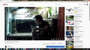 АКВАРИУМ на ЗЕМЛЕ, Зачем земля, не трави РЫБ... Писали они