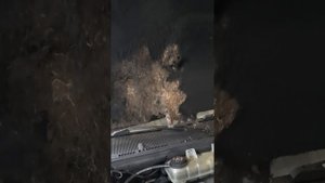 Мой Mercedes Benz ML 270cdi ВСЕ...пропала зарядка аккумулятора.