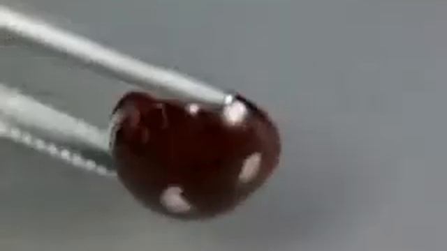 .Камень Спессартин Гранат натуральный 9.32 карат Артикул: 22968 цена: 990 руб смотреть онлайн