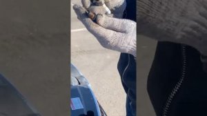 Диагностика Шкода Рапид,  определение детонации с пом., приб., Вася Диагност, замена свечей Рапид