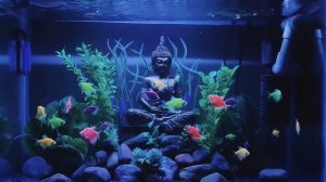 THE LOST WORLD...Aquarium Setup