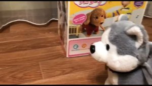 Игрушка Хаски на поводке Интерактивная игрушка собака поет танцует
