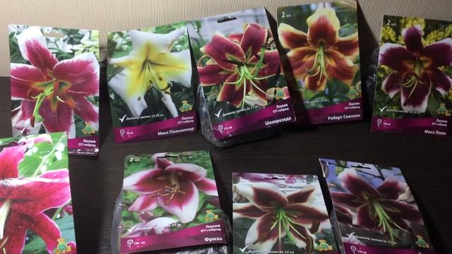 Лилии ОТ гибриды от фирмы Поиск смотреть онлайн