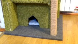 Домик-когтеточка для кошки своими руками.