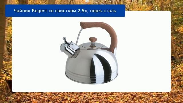 Чайник Regent со свистком 2,5л, нерж.сталь обзор смотреть онлайн