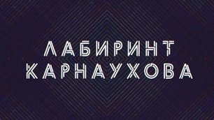 Лабиринт Карнаухова | Соловьёв LIVE | 25 июня 2022 года