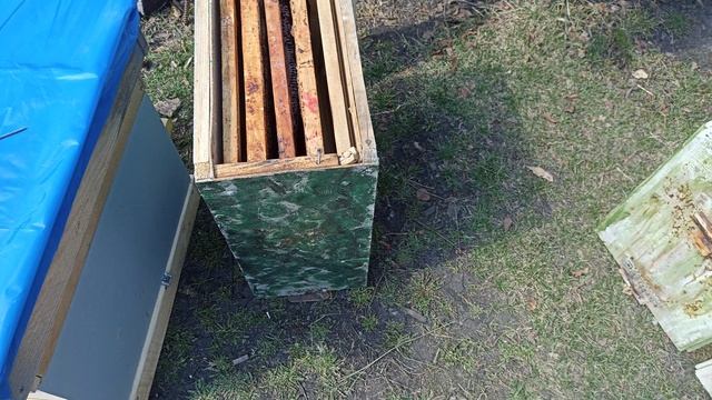 подготовка к роеловному сезону. смотреть онлайн