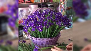 Ирисы в корзине. Собираем композицию на флористической пене