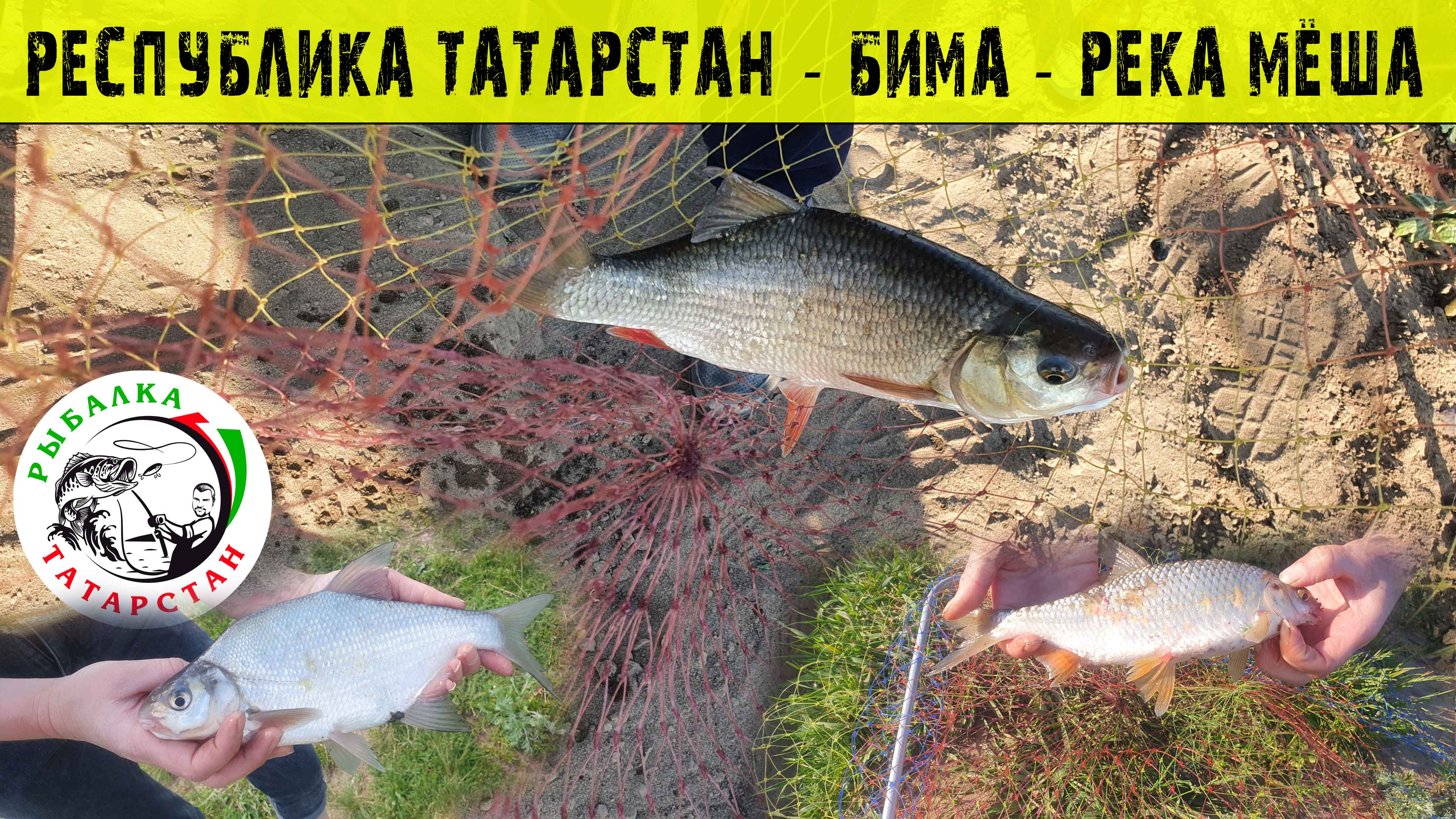 рыбалка в татарстане видео на живца