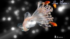 Гиперреалистичные картины с рыбками*     Художник Lisa Ericson