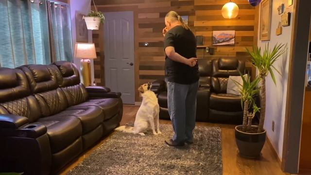 The turnaround game смотреть онлайн