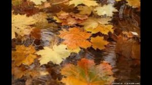 Алла Аллочка Ион Суручану