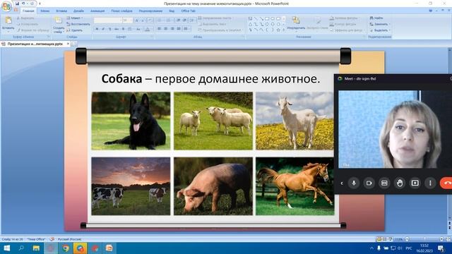 Значение млекопитающих