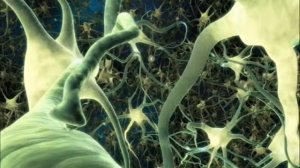 Покрытое тайной (2004)