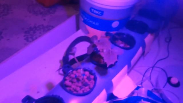 Гидропонная ферма своими руками смотреть онлайн