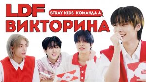 Викторина LDF со Stray Kids [Команда А]